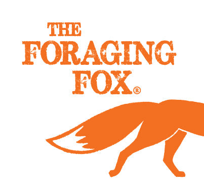 Foraging Fox