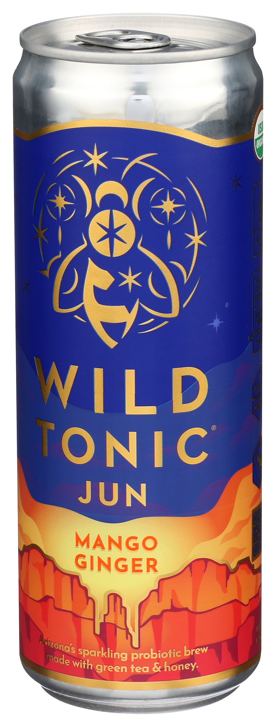 Wild Tonic, Kombucha Mango Ginger Organic 12 oz, 6 Pack